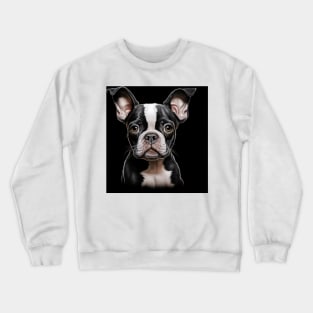 Cute Boston Terrier Lovers Dogs Boston Terrier Crewneck Sweatshirt